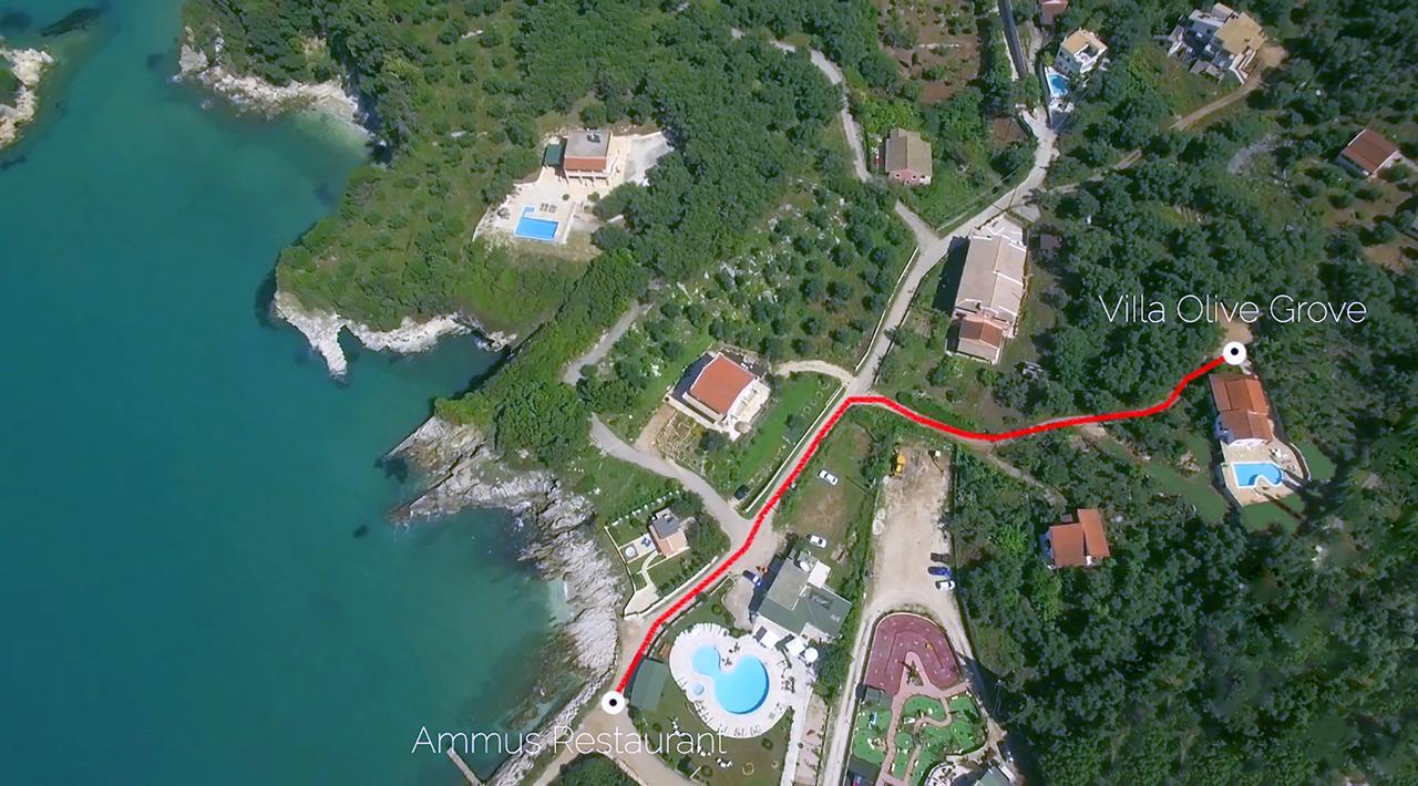 Villa Olive Grove And Sea View Agios Spyridon  Buitenkant foto
