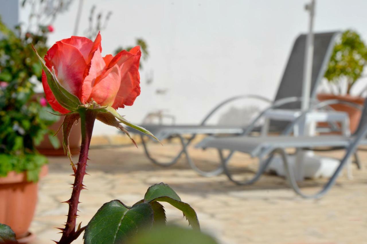 Villa Olive Grove And Sea View Agios Spyridon  Buitenkant foto